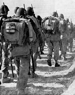 Polish infantry on the move