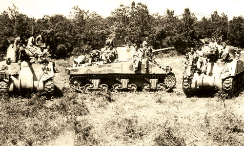 South African armour halts by a hedge