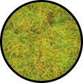 GF9 Green Static Grass (GFS001)