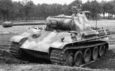 Hinterhalt: The Art of Panther Camouflage