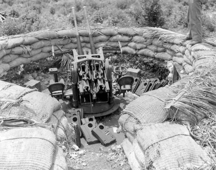 Japanese Gun Nests