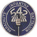 542nd Barachute Infantry Battalion Badge